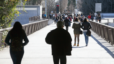 Estudiants al campus de la UAB