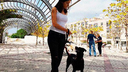 Curs Ensinistrament de Base i Educació Canina