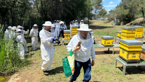 docents al uabee