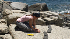 IMG_doctorat_geologia_foto1