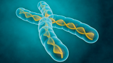 Màster oficial de Citogenètica i Biologia de la Reproducció