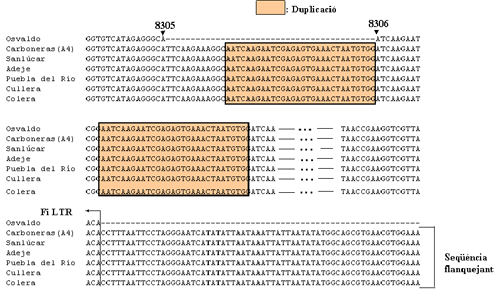 Seqüenciació del retrotransposó Osvaldo