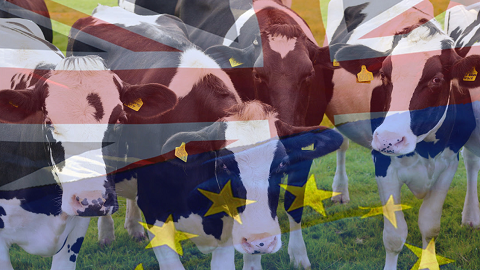 Brexit Animales