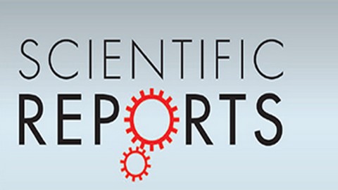 cientificreport