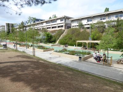 Imatge de les jardineres i els lledoners d'aquest espai