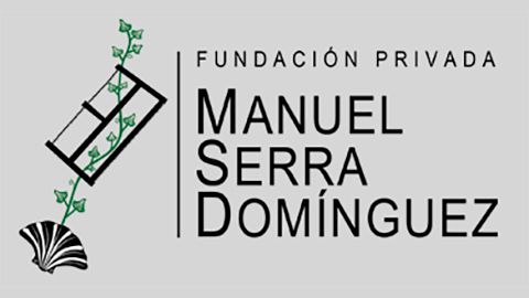 Manuel Serra Dominguez