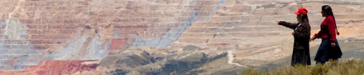 Un mapa situa la lluita de les dones que resisteixen a lrsquoextractivisme i defensen la vida i el t