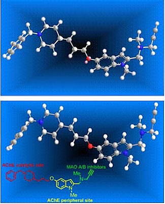 Molècula Alzheimer i Parkinson