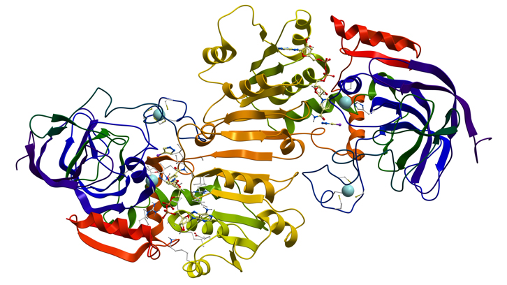 caprolactone