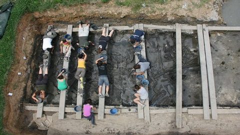 Campus Arqueologia