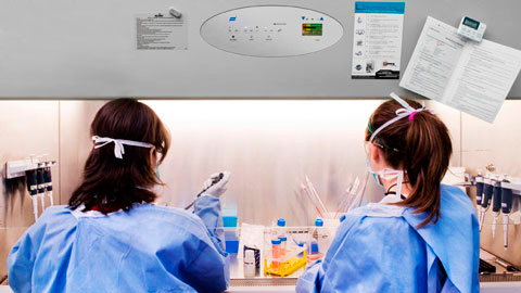 Personal trabajando en un laboratorio