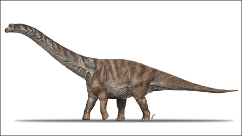 Abditosaurus kuehnei