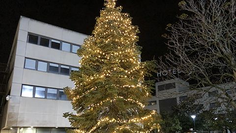 Arbre de Nadal a l'Exterior de l'Edifici Blanc