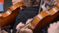 IMG_doctorat_arte_musicologia_foto1