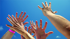 Concurs polsera biociències 2019