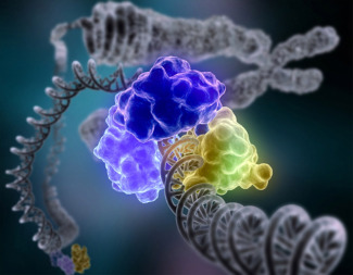 Lesions DNA