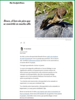 Imatge de l'article del diari The New Yorl Times