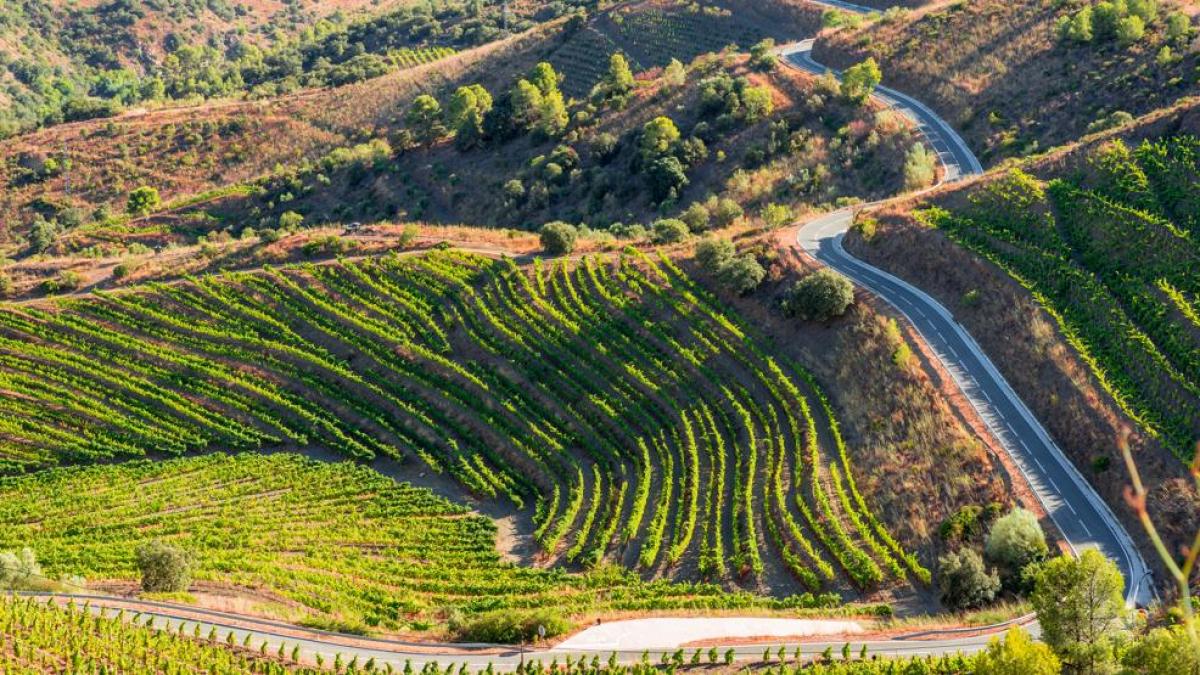 DOQ Priorat ICTA-UAB ODS