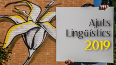 Imatge ajuts lingüístics 2019