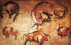 Animals dibuixats a la paret