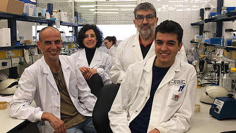 Troben un nou procés de resistència a fàrmacs en bacteris