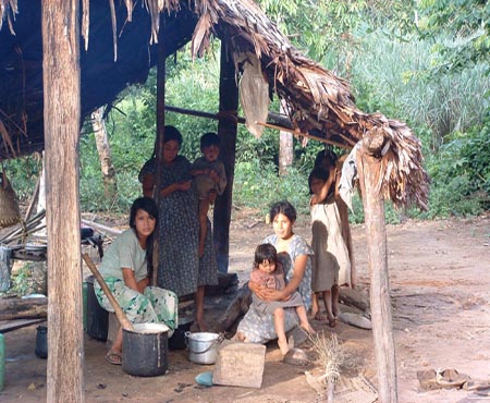 Els Tsimane' practiquen la selecció positiva