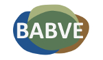 LOGO BABVE