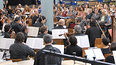  Màster Oficial Musicologia, Educació Musical i Interpretació de la Música Antiga
