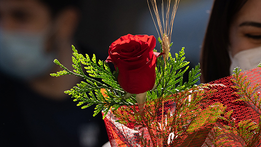Sant Jordi 
