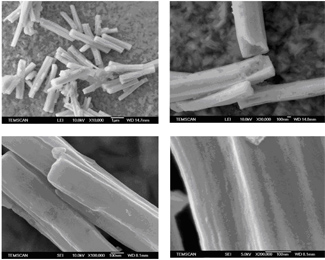 Imatges de Microscòpia Electrònica d'Escombrat