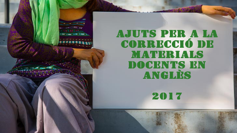 Imatge Ajuts Correcció 2017