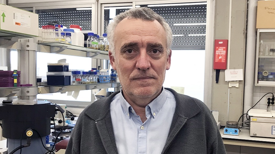 Isidre Gibert