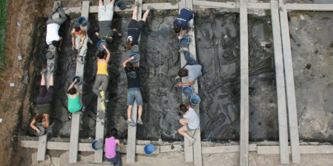 Imatge d'una excavació arqueològica