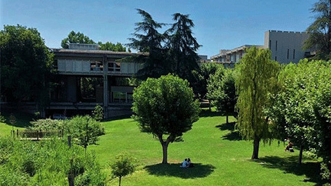 Primavera als prats del campus de la UAB