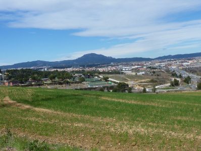 Vista cap a la Mola des de la urbanització del Turó de Sant Pau