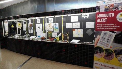 Ciencia Ciutadana