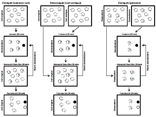 aprenentatge social en tocinos 1