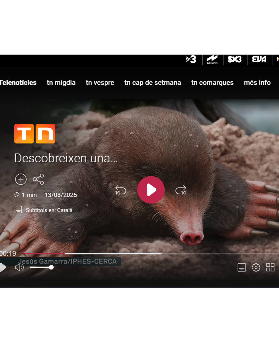 Imatge del talp al telenotícies de TV3