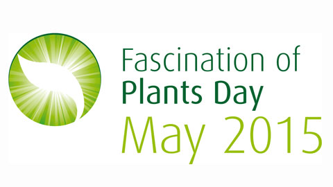 International Fascination of Plants Day 