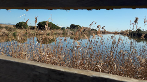 Delta del Llobregat