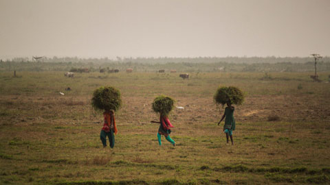 El modelo de conservación de la vida silvestre socava los derechos de las  comunidades locales e indígenas en la India - Universitat Autònoma de  Barcelona - UAB Barcelona