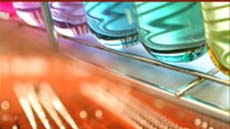 IMG_doctorat_quimica_foto4