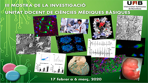 III Jornada UDCMB