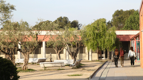 Plaça de les Oliveres de la Facultat de Ciències de l'Educació