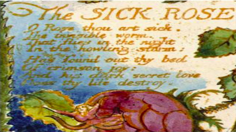 W. Blake, “The sick rose” a “The songs of innocence and experience” (1825).