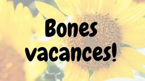 Imatge bones vacances