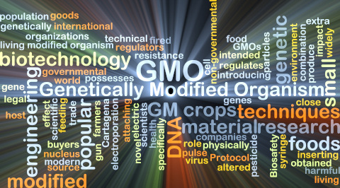 Notificació OGM