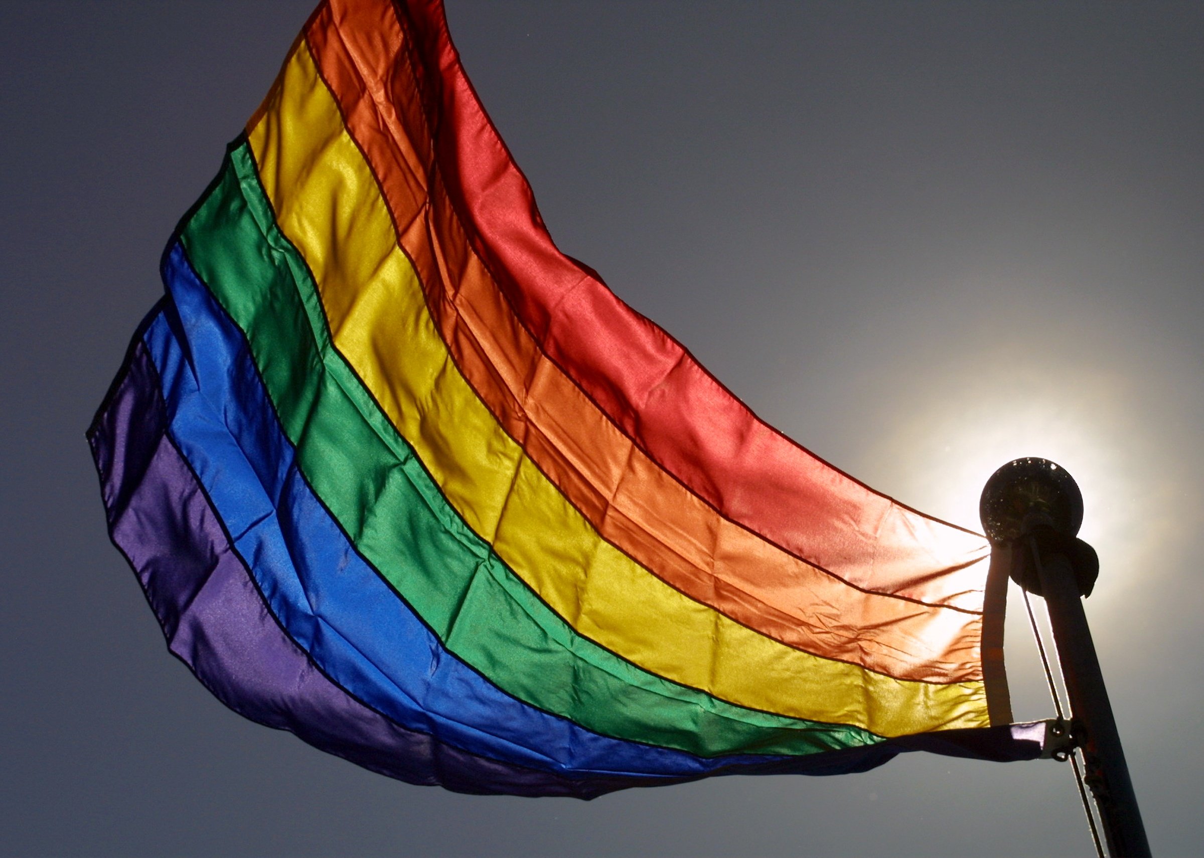 LGTBI flag