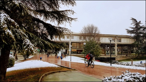 Campus Bellaterra hivern