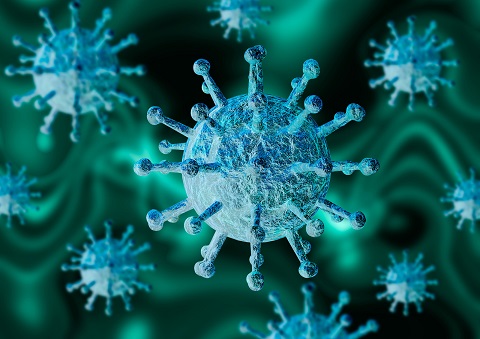 Facultat Economia i Empresa Coronavirus